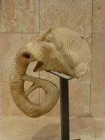 Das sehr gut gemachte Petra Museum stellt einen der Elefantenköpfe aus, die die Kapitelle des Großen Tempels geschmückt haben. Die großen Ohren sind am Kapitell zurückgeblieben.