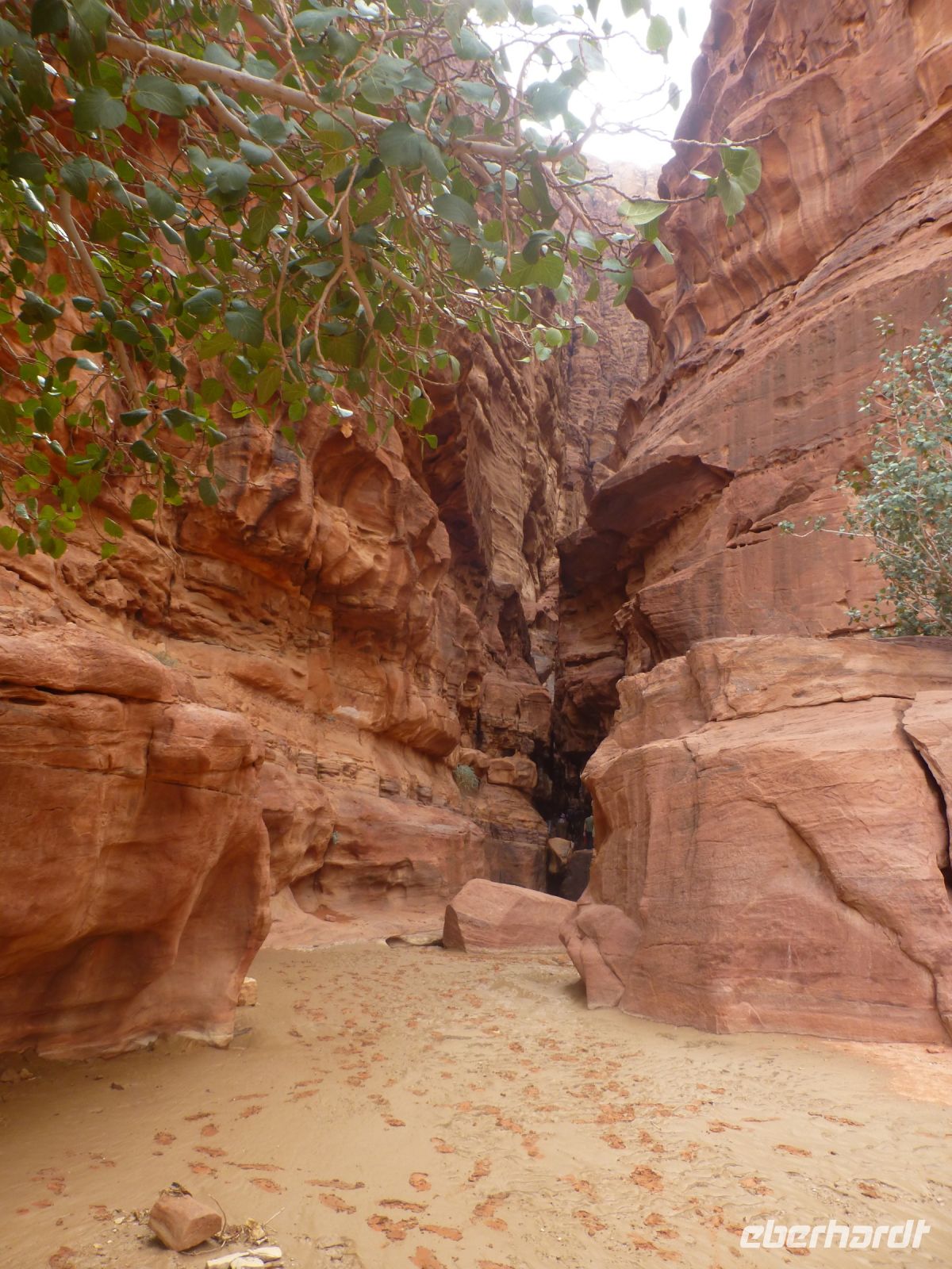 In dieser Schlucht finden sich alte Inschriften und Ritzzeichnungen mit Tieren.