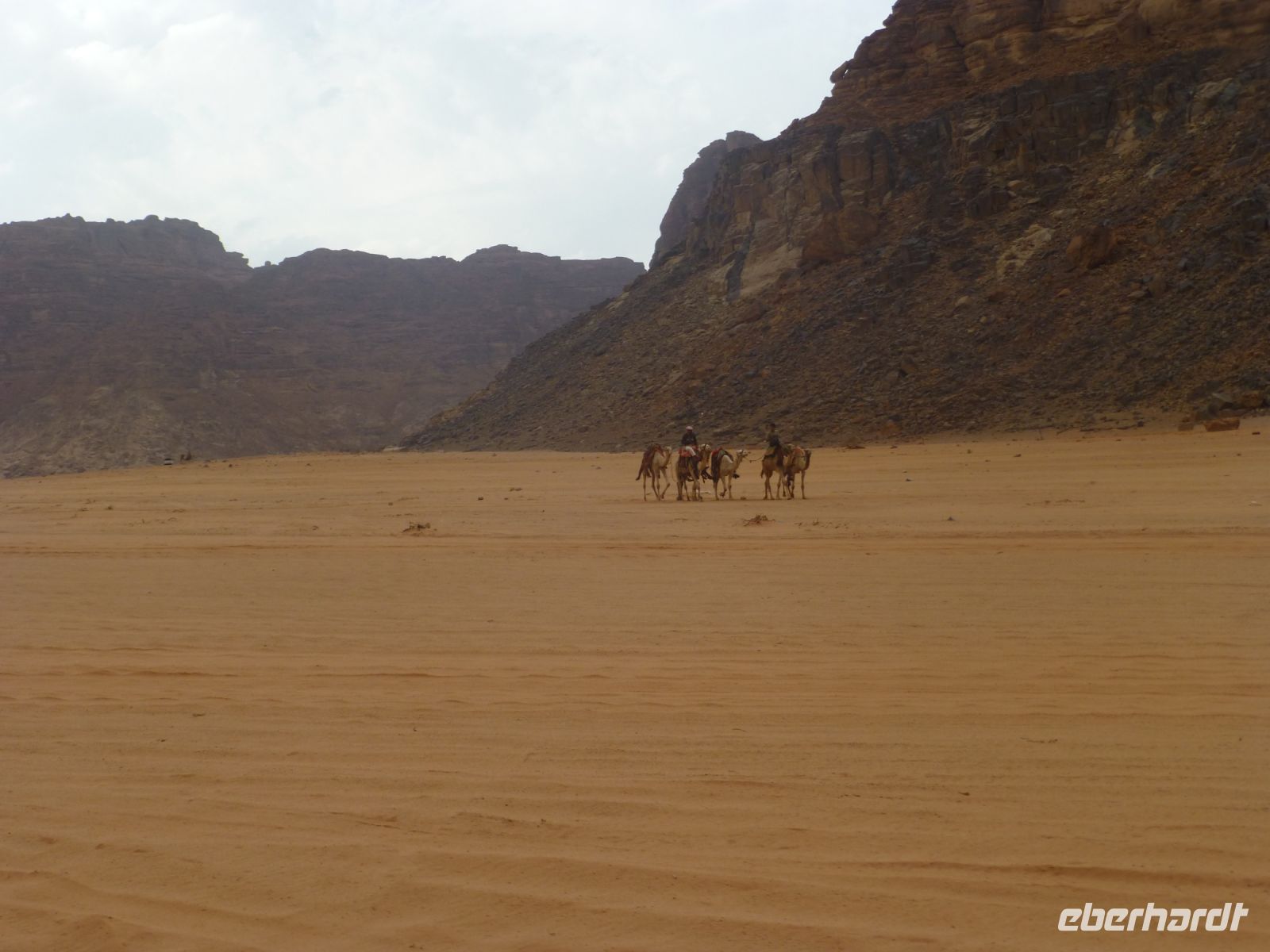 Fünf Tiere, wie mächtig sähe eine Karawane aus mit 500?