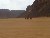 Fünf Tiere, wie mächtig sähe eine Karawane aus mit 500?