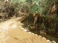 Das Bächlein begleitet uns zur Taufstelle Jesu entlang eines schön angelegten Weges.