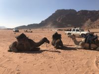 WadiRum5