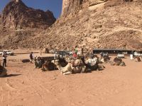 WadiRum6