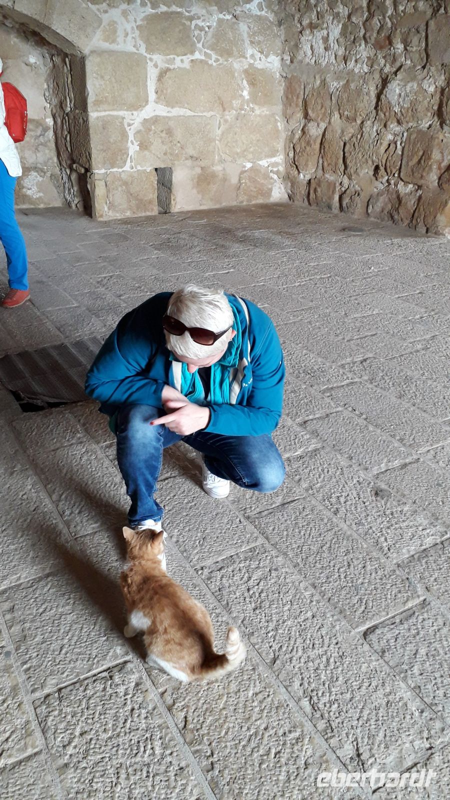 Der Kater der Festung lief uns hinterher