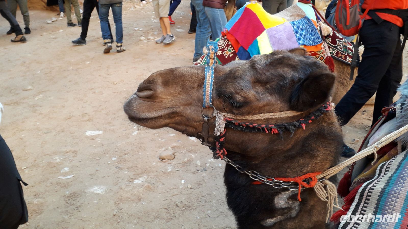 Vor dem Schatzhaus...