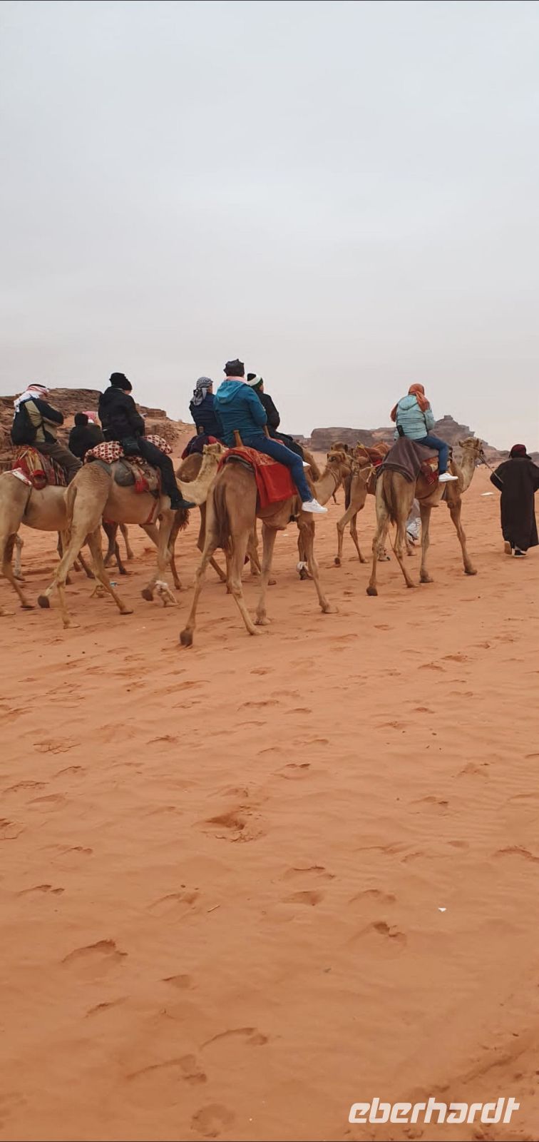 Kamelausritt am 1. Januar