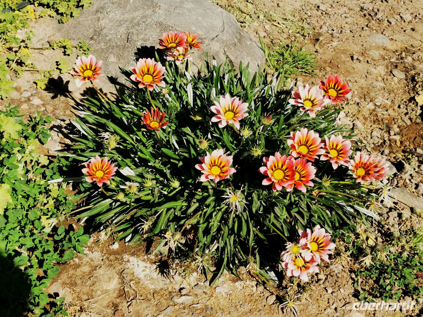 Tag 2 11.03.2023 Qausir Azraq