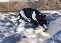 Tag 4 13.03.2023 Berg Nebo, 