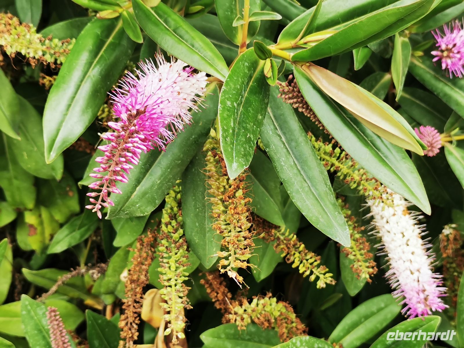 Tag 6 13.03.2023 Petra