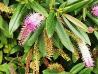 Tag 6 13.03.2023 Petra