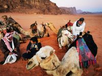 Tag 7 16.03.2023 Kamelritt in den Sonnenaufgang