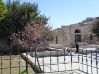 Tag 2 11.03.2023 Amman Theater