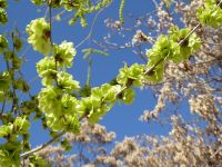 Tag 2 11.03.2023 Amman