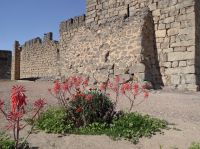 Tag 2 11.03.2023 Qausir Azraq