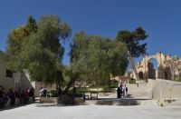 Tag 3 12.03.2023 Jerash 