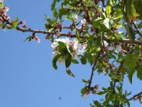 Tag 3 12.03.2023  Ajlun