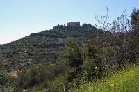 Tag 3 12.03.2023  Ajlun