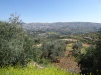 Tag 3 12.03.2023  Ajlun