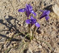 Tag 3 12.03.2023 Unterwegs