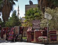 Tag 4 13.03.2023 Madaba 