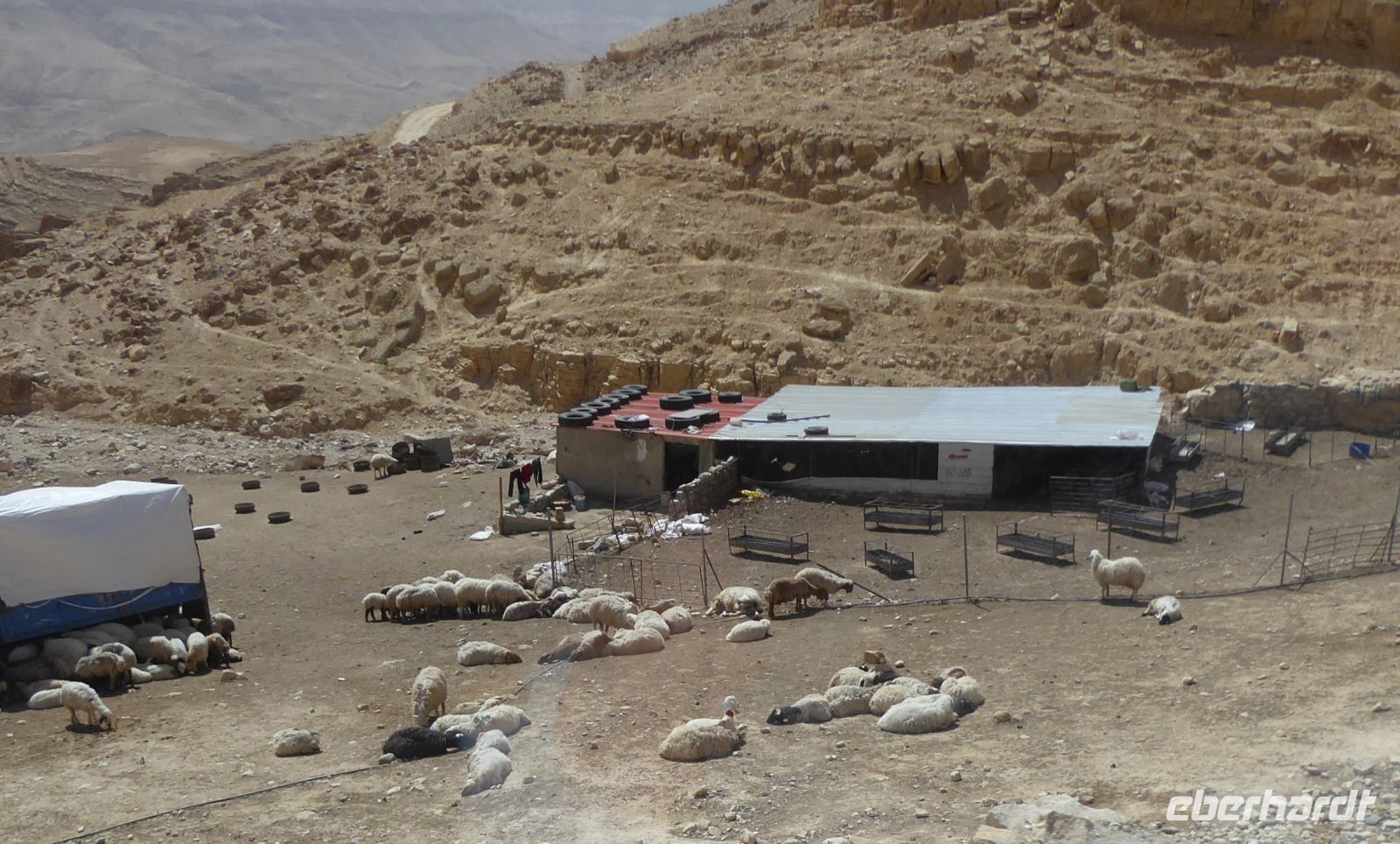 Tag 4 13.03.2023 Mujib Schlucht, Beduinenlager