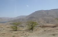 Tag 4 13.03.2023 Mujib Schlucht 