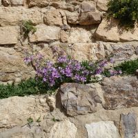 Tag 4 13.03.2023 Kerak