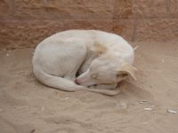 Tag 5 14.03.2023 Petra 