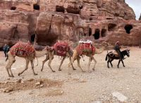 Tag 5 14.93.2923 Petra