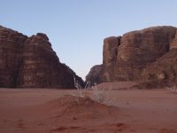 Tag 7 16.03.2023 Kamelritt in den Sonnenaufgang