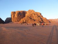 Tag 7 16.03.2023 Kamelritt in den Sonnenaufgang  