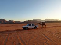 Tag 7 16.03.2023 Kamelritt in den Sonnenaufgang  