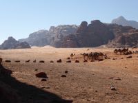 Tag 7 16.03.2023 Wadi Rum Jeepsafari 