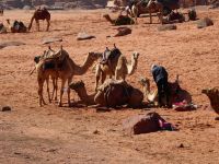 Tag 7 16.03.2023 Wadi Rum Jeepsafari 