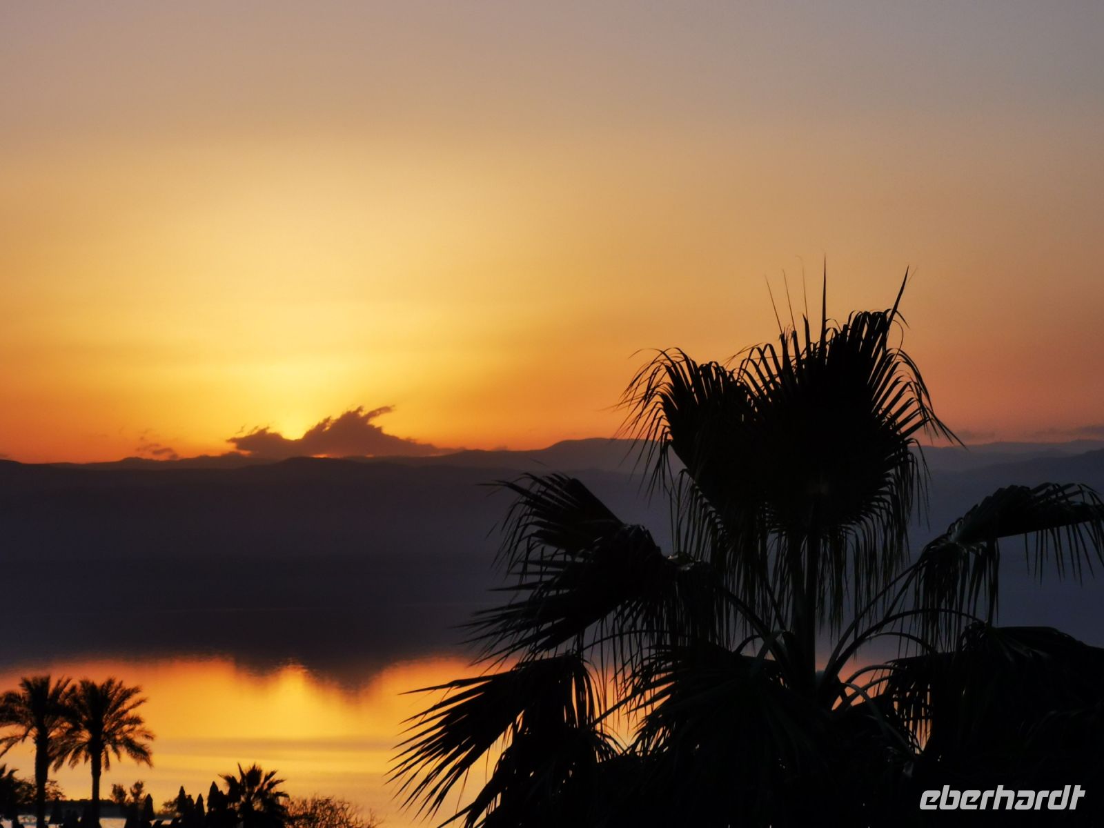 Tag 8 18.03.2023 Hilton Hotel am Toten Meer , Swemeh