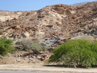 Tag 8 17.03.2023 Unterwegs am Toten Meer