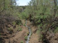 Tag 8 17.03.2023 Bethanien