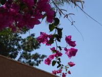 Tag 8 17.03.2023 Bethanien