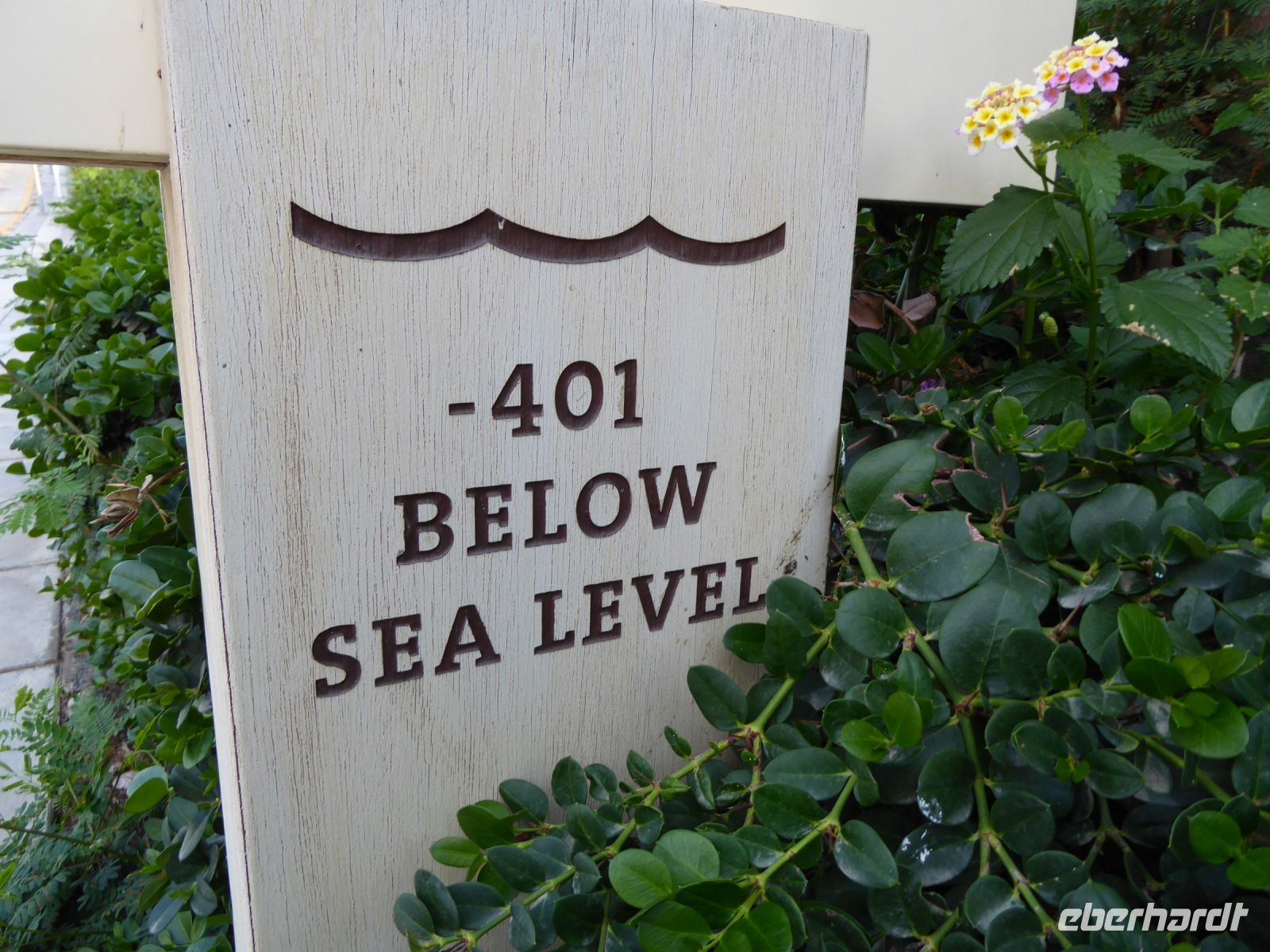 Tag 8 17.03.2023 Hilton Hotel am Toten Meer , Swemeh