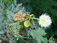 Tag 9 18.03.2023 Hilton Hotel am Toten Meer , Swemeh