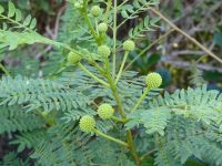Tag 3 12.03.2023 Jerash