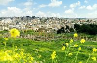 Blick auf Jerash, davor die antike römische Siedlung