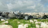 Amman wächst und wächst 