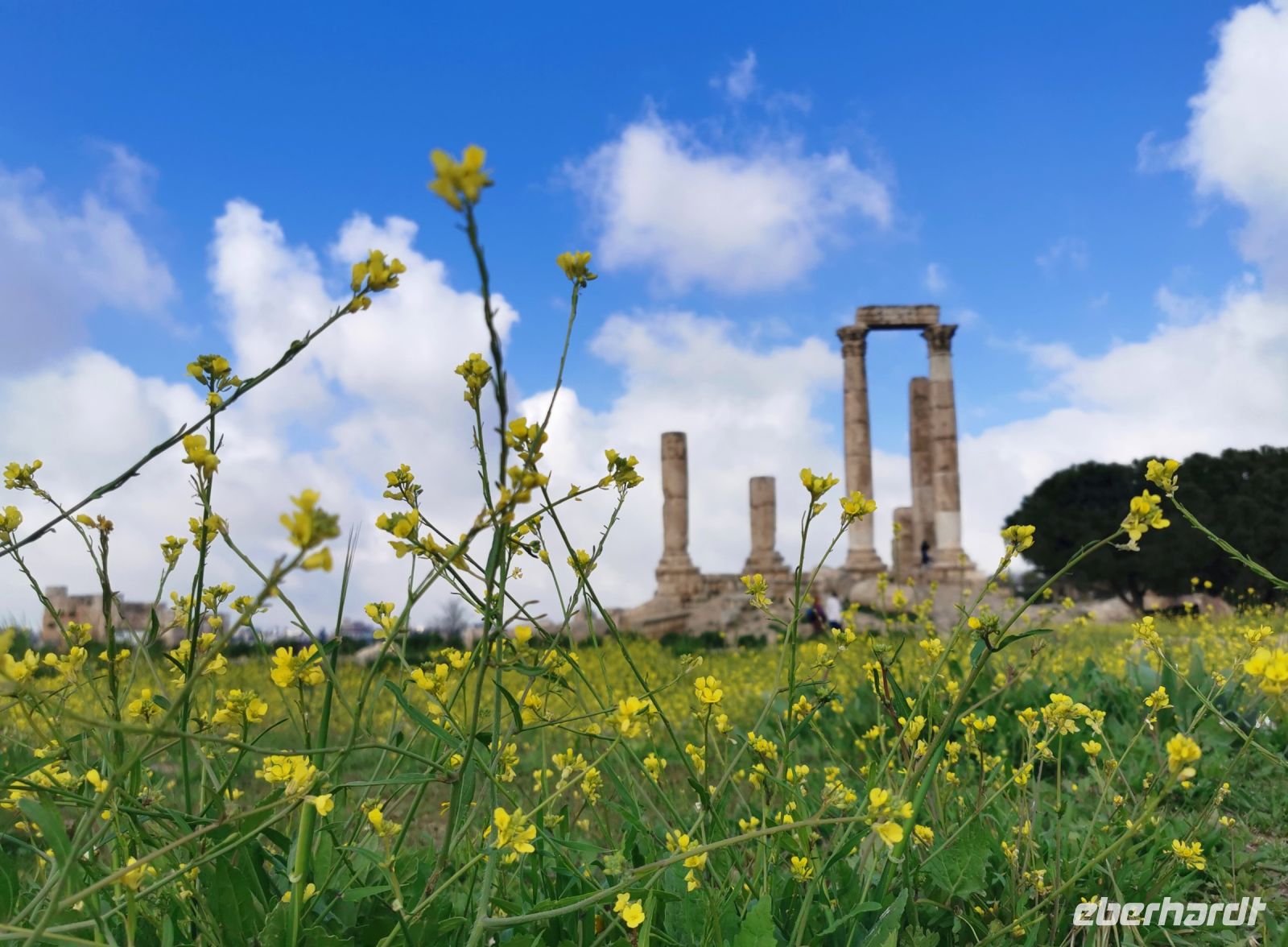 Frühling auf dem Zitadellenhügel