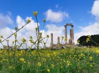 Frühling auf dem Zitadellenhügel