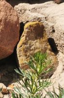 Die Stein Farben reichen von Rot, Orange, Gelb zu Ocker 