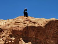 Diese hier hat den Anschluß verpaßt