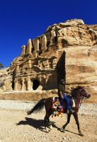 Beduinischer Reiter in Petra