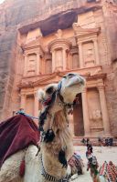 Kamelmodel vor Kulisse, Petra