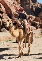 Ja, auch Kamele gibt es in Petra